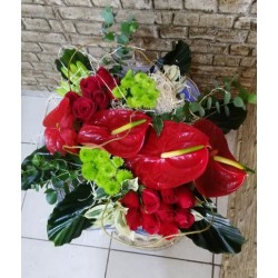 STR43